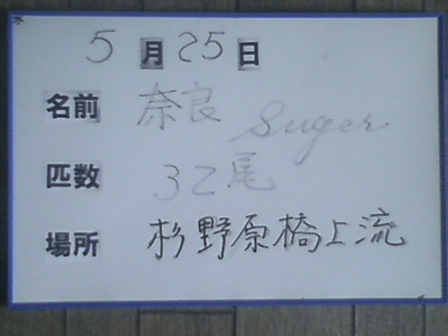 413f1946.jpg