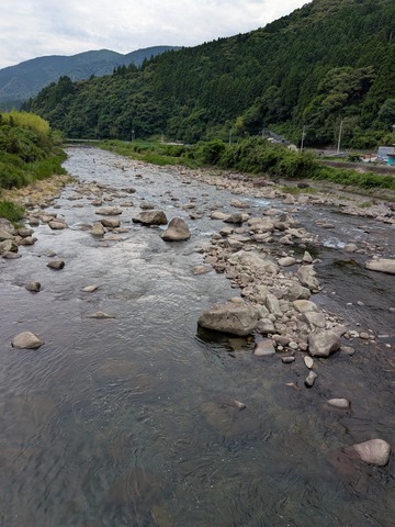 PXL_20250607_051837383.MP