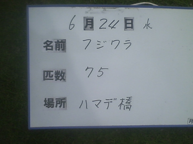 439ed4b3.jpg