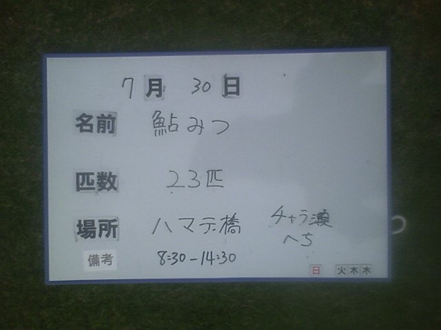 43be59e3.jpg
