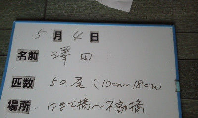 鮎釣り師のひとり言