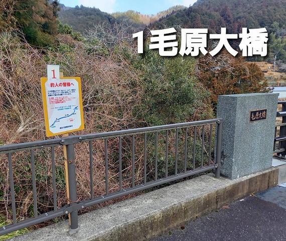 1645783729919