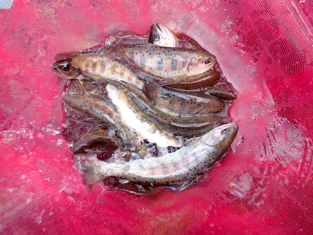 P3201502