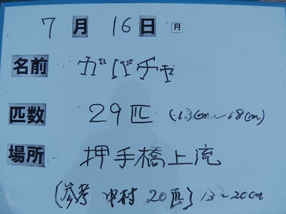 4912ecfe.jpg