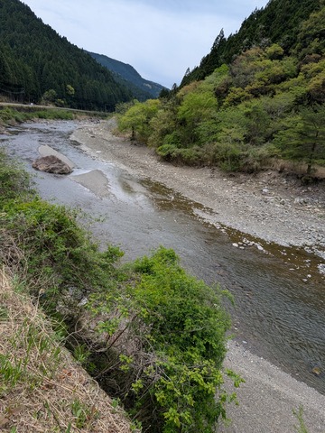 PXL_20260422_024248339.MP