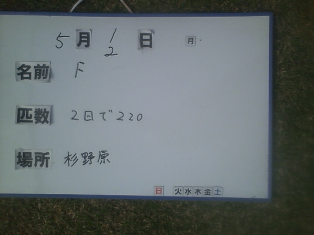 4a54b464.jpg