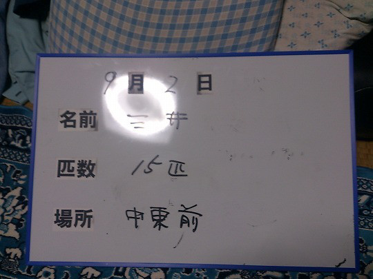 4b1a144e.jpg