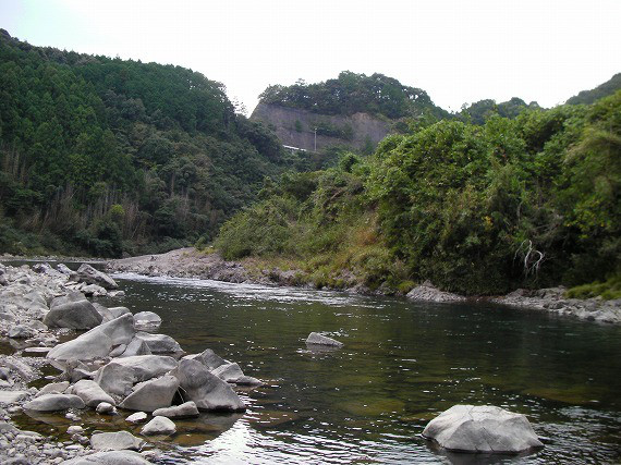 528c8302.jpg