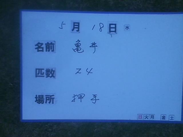 52a6232d.jpg