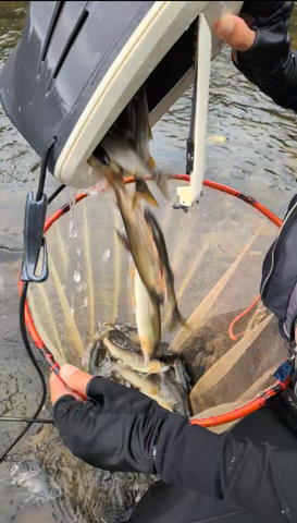 Screenshot_20250929-092008