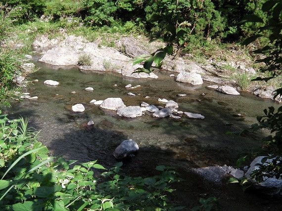 537031ac.jpg