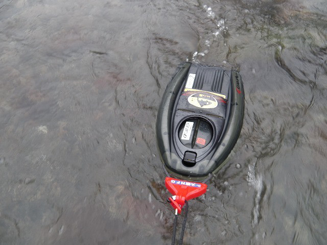 53d525f8.jpg
