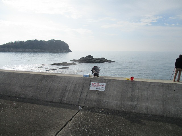 557fa358.jpg
