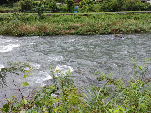 20210820_143533_HDR
