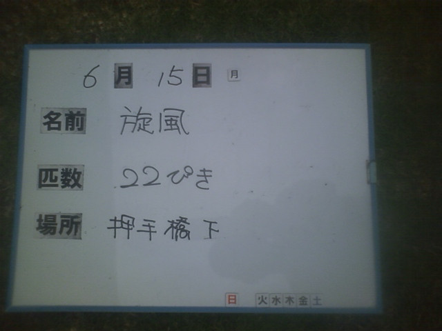 5681c191.jpg