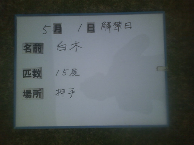 56c6b4c8.jpg