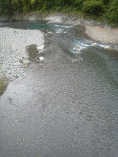鮎釣り師のひとり言