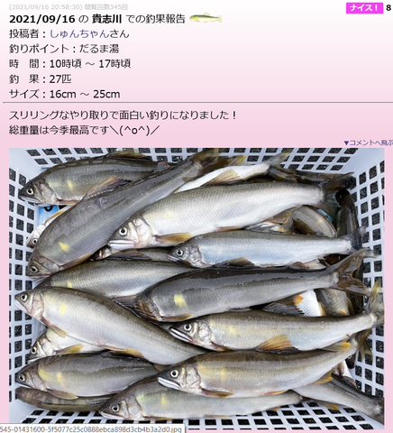 キャ1プチxャ