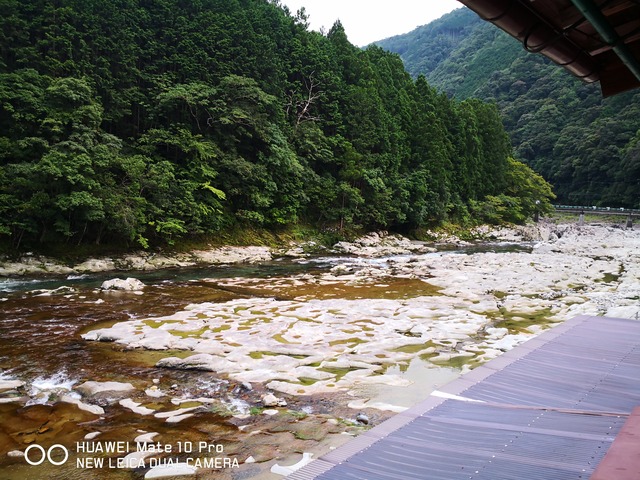 IMG_20200801_181237