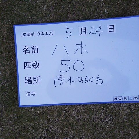 IMG_20190524_194206_451