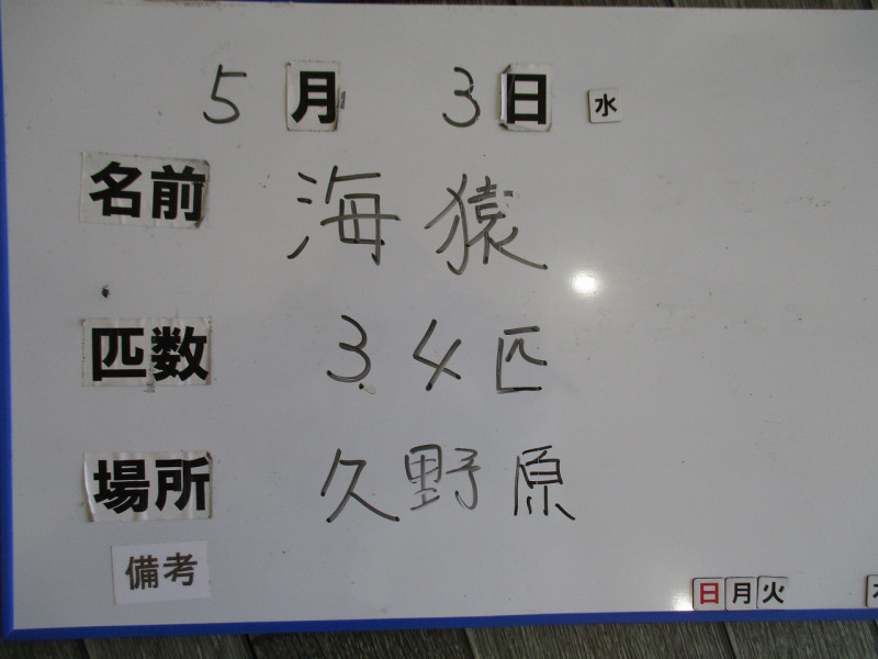 5c52c5d2.jpg