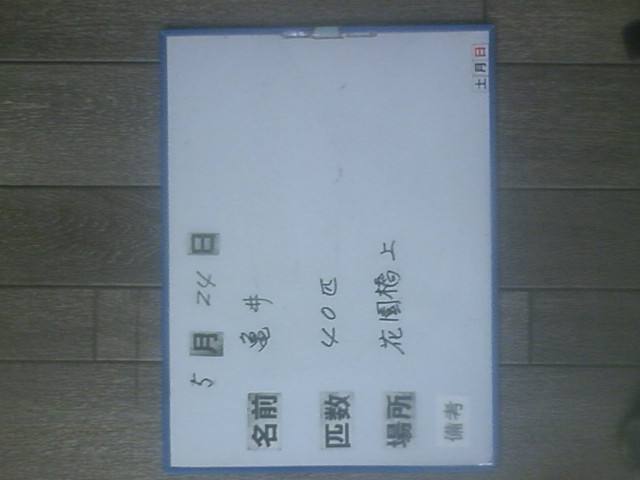 5d089639.jpg