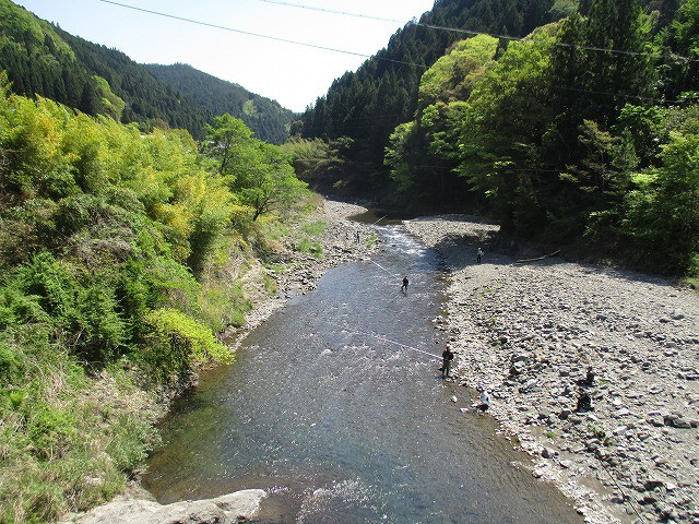 61660f5d.jpg