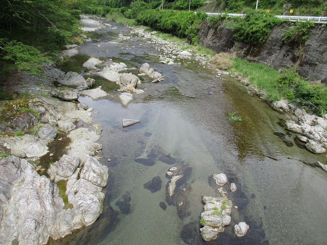 6221698d.jpg