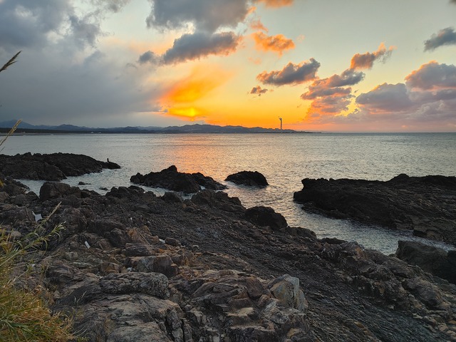20210110_071103_HDR
