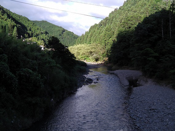 64bd4101.jpg