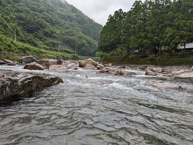 PXL_20230608_044242994