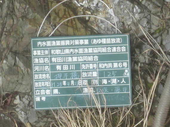 6737331d.jpg
