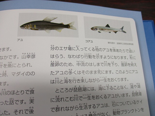 6a6dac6d.jpg