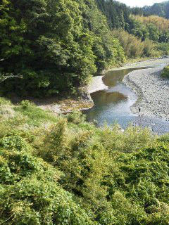 鮎釣り師のひとり言