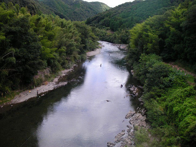 6d1d5477.jpg