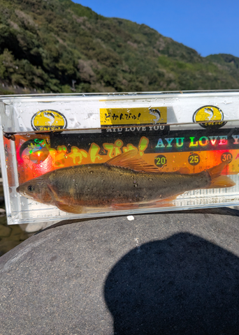 Screenshot_20251019-202315