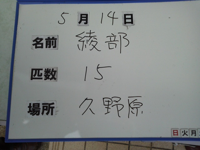 6f0fcd69.jpg
