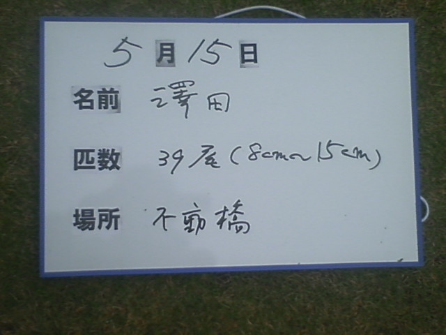 6f32a2a0.jpg