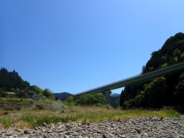 P4262262
