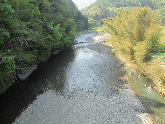 7217686a.jpg