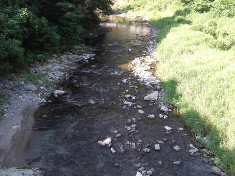 IMGA0309