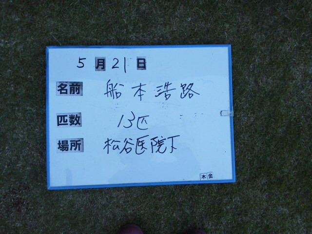 7317f188.jpg