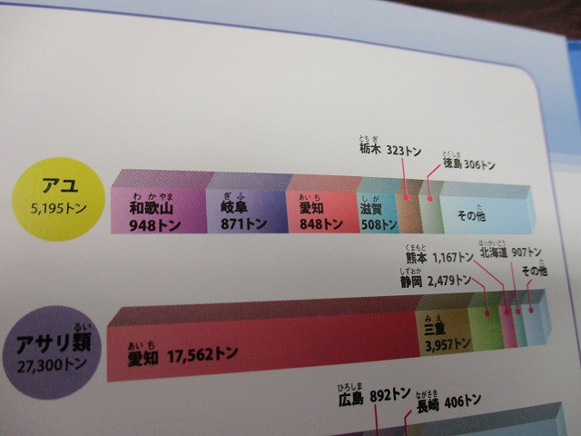 7361a05f.jpg