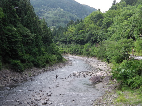 IMGA0035