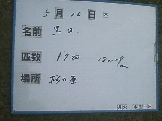 7458b57d.jpg