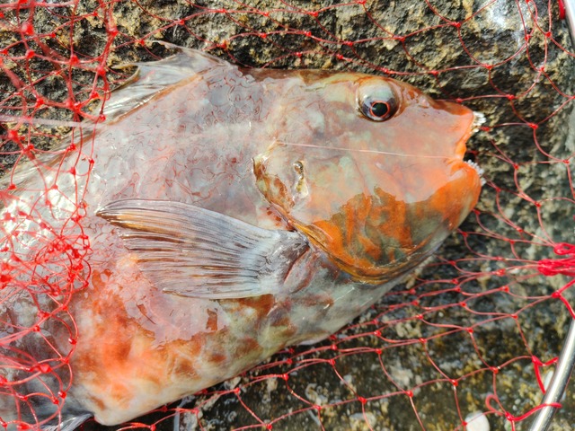 20220115_092335_HDR