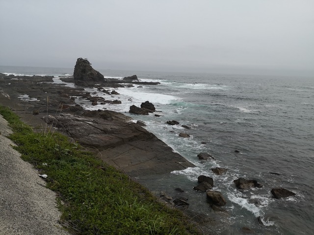 IMG_20200328_160627_1