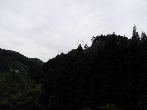 7667a69c.jpg