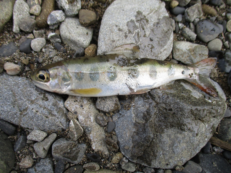 7685359d.jpg