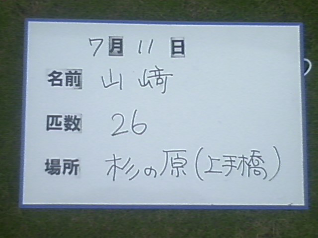 76cda17b.jpg